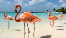 Saveurs des Antilles (Guadeloupe) 10 Nuits Vol en option