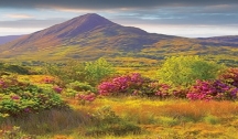 Toute l'Irlande