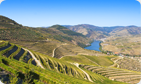 fluviale douro